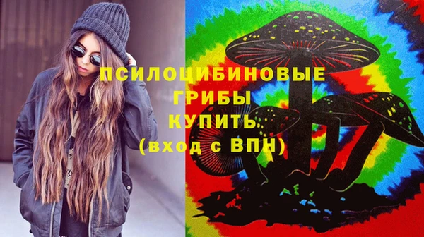 a pvp Горно-Алтайск