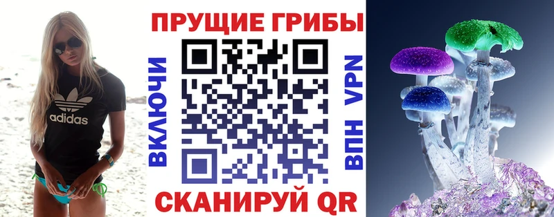 где можно купить наркотик  Серпухов  Псилоцибиновые грибы Psilocybe 